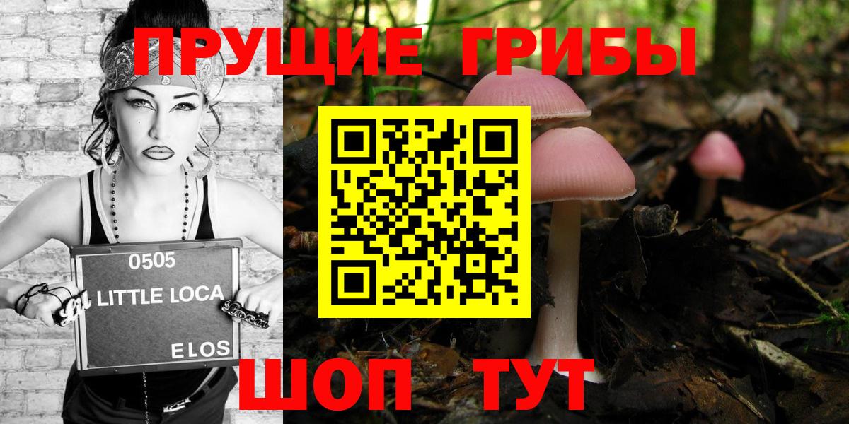 даркнет сайт  Псилоцибиновые грибы Magic Shrooms  Вход с VPN  Орёл 