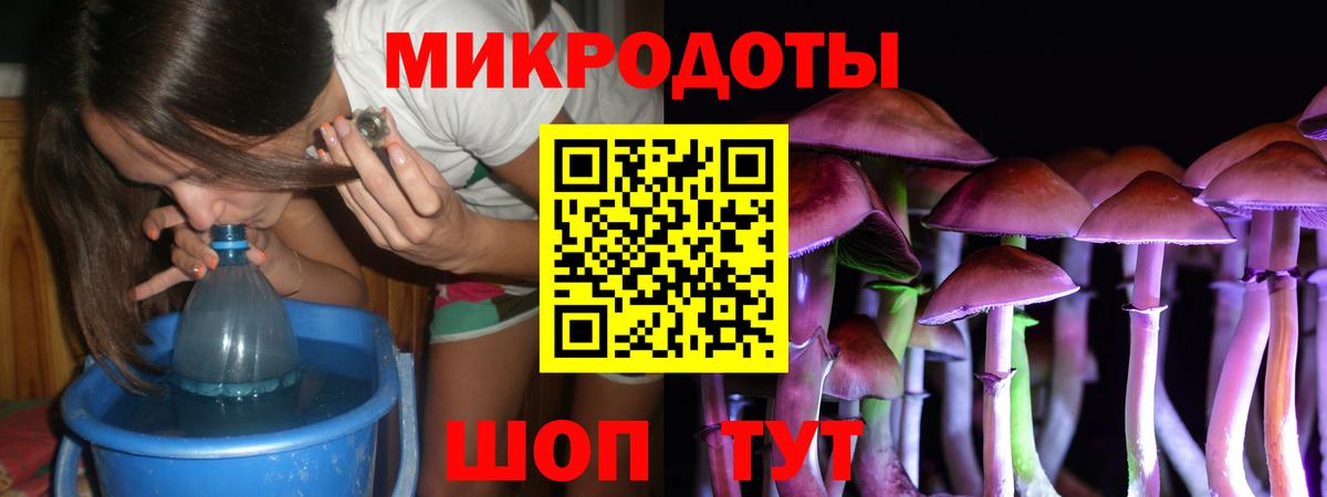 Псилоцибиновые грибы GOLDEN TEACHER Орёл