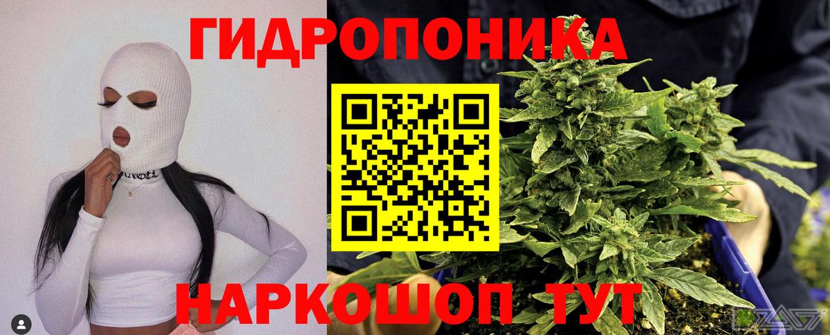 Бошки марихуана семена Орёл